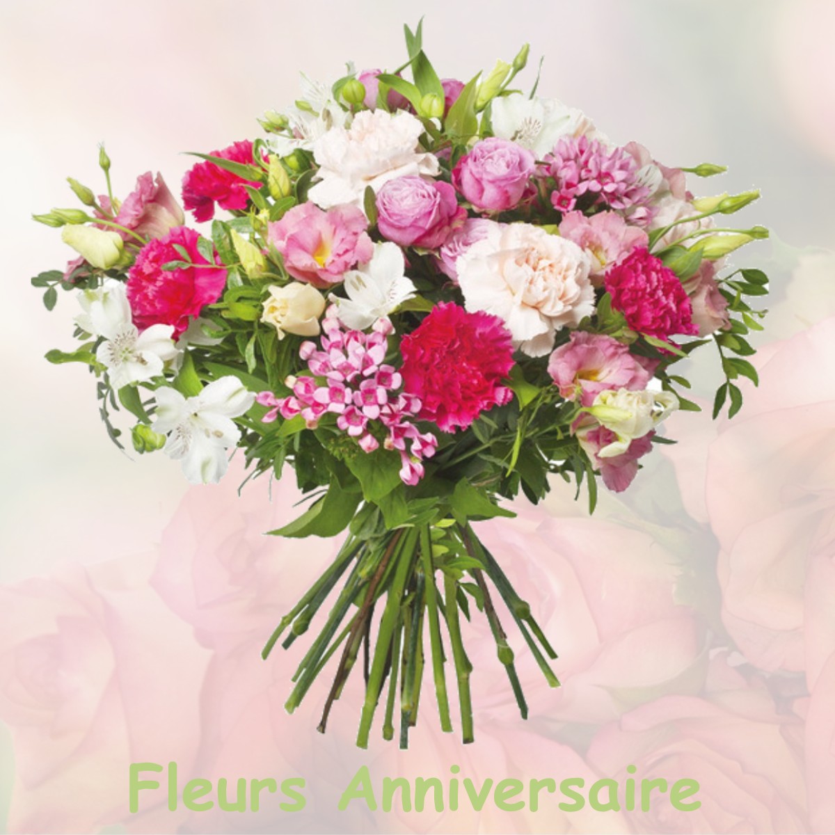 fleurs anniversaire VILLE-LANGY